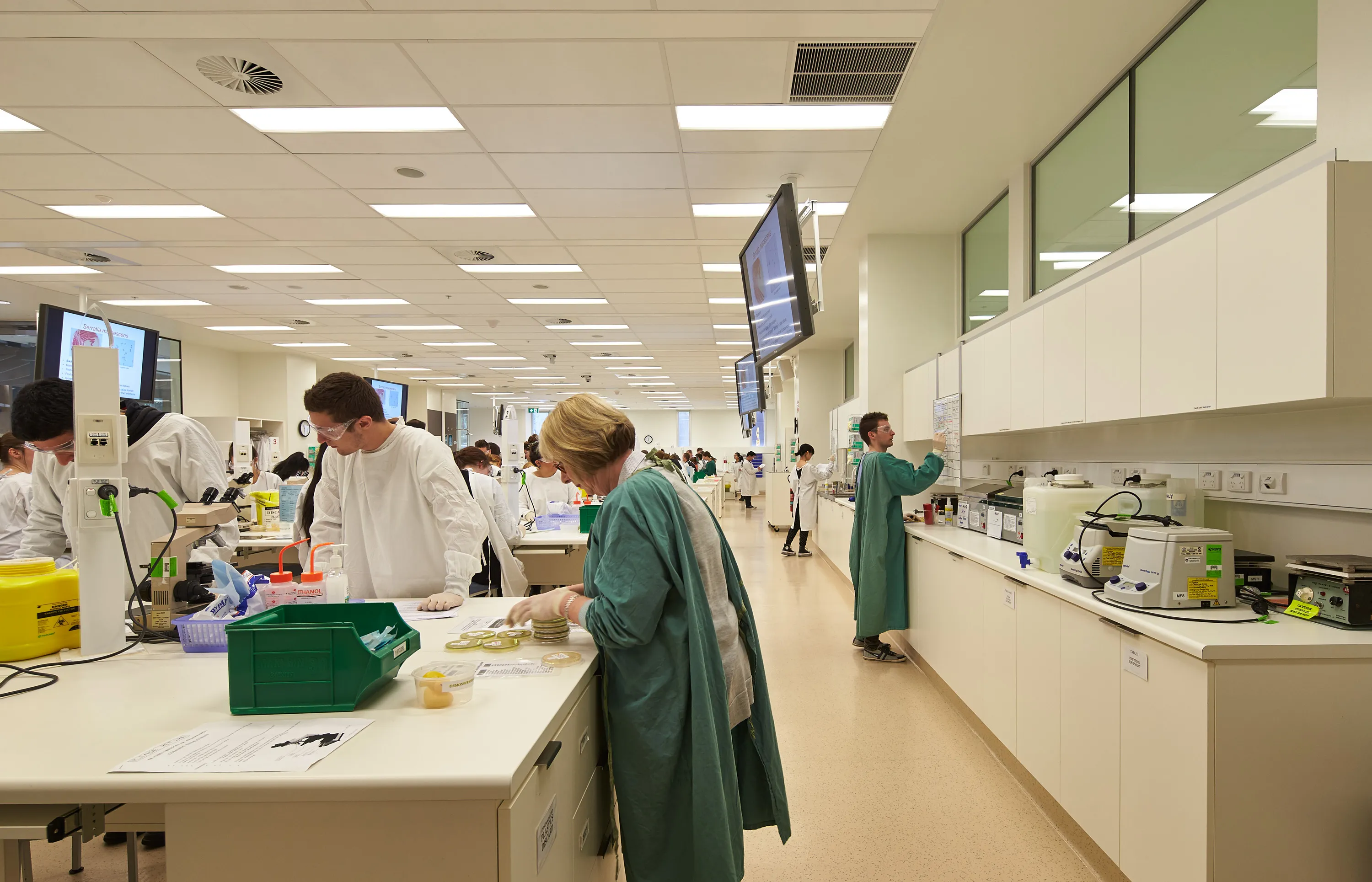 The Peter Doherty Institute